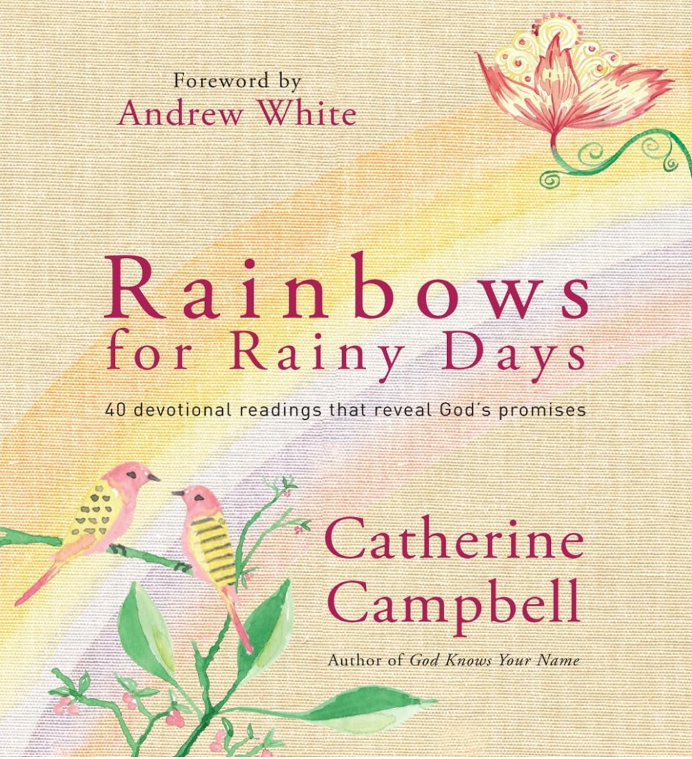 Book Rainbows for rainy days  (Copy)