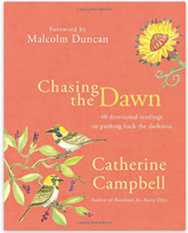 Book Chasing the Dawn